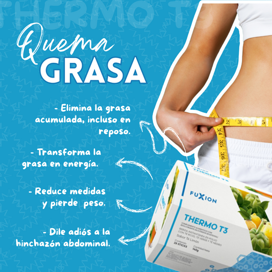 THERMO T3