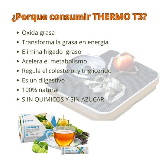 ThermoT3