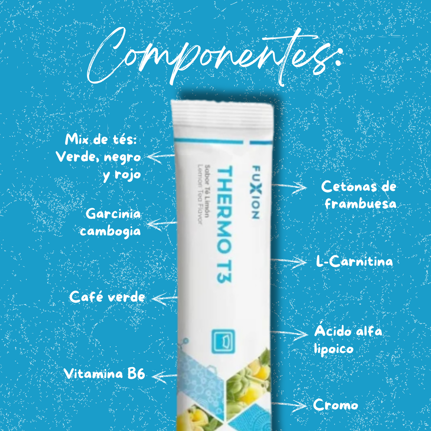 THERMO T3