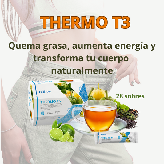 ThermoT3